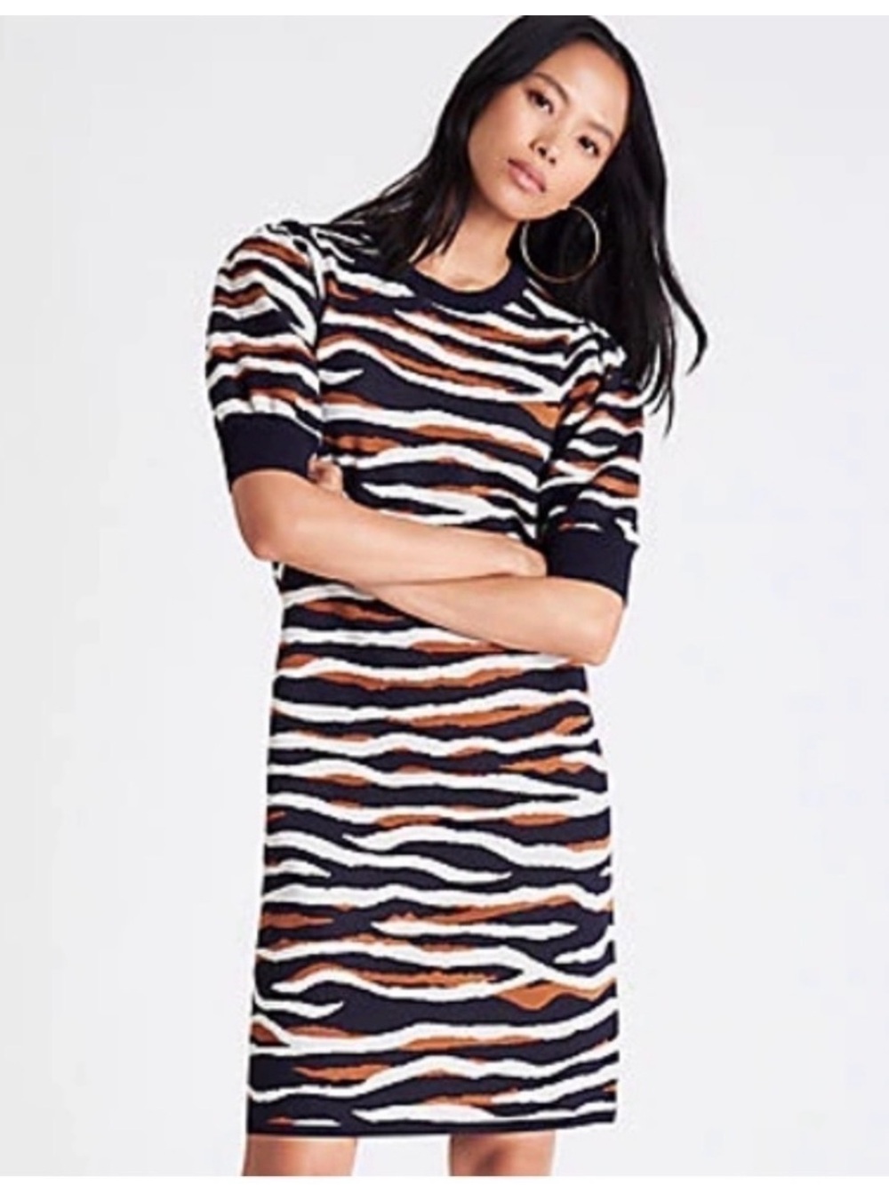 Ann Taylor Navy, White & Brown Striped Zebra-Print Knit dress